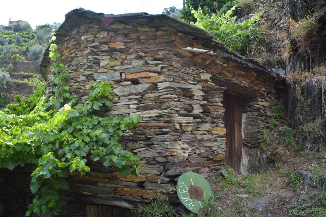 Casa Do Azereiro Villa Casal do Rei  Eksteriør bilde
